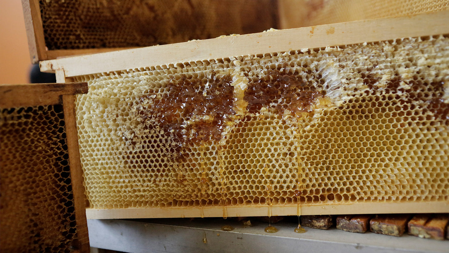 Apicoltura Seriana